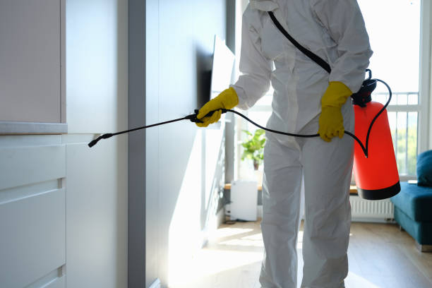 Professional Mold Remediation in New Palestine, IN